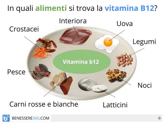 Vitamina B12 A Cosa Serve Dove Si Trova Alimenti Eccesso E Carenza 6974