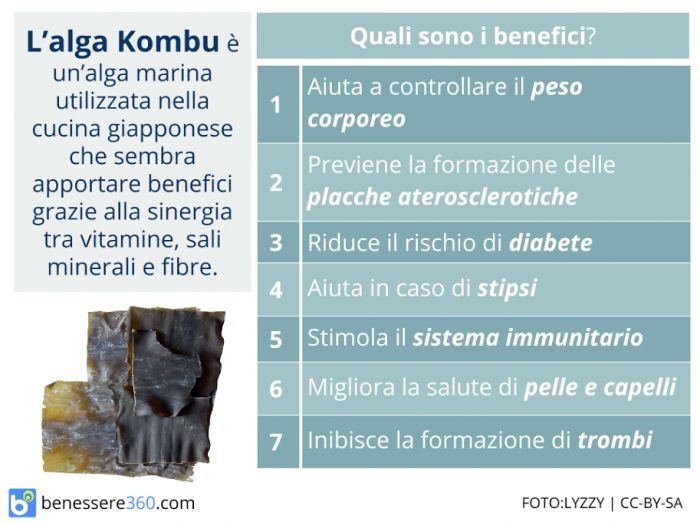 Alga Kombu - Proprietà, Benefici, Controindicazioni, Usi